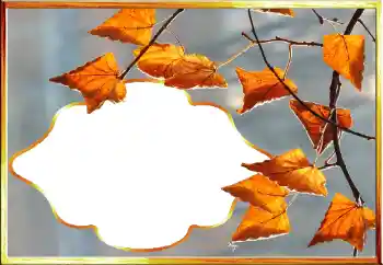 Фотоэффект из категории Осень № 145079 Фотоэффект из категории Осень № 145079