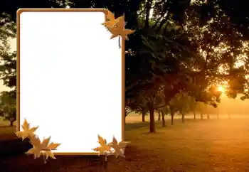 Фотоэффект из категории Осень № 166423