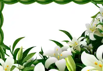 Фотоэффект с категории Весна № 113129 Фотоэффект с категории Весна № 113129