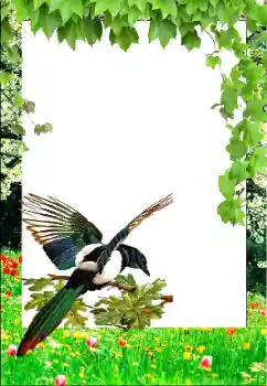 Фотоэффект с категории Весна № 147761