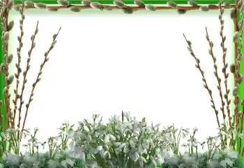 Фотоэффект с категории Весна № 197647