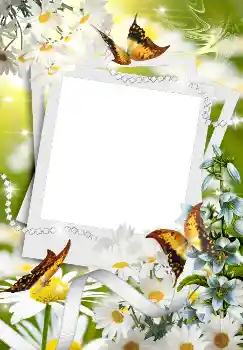 Фотоэффект с категории Весна № 4611