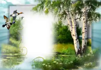 Фотоэффект с категории Весна № 49552 Фотоэффект с категории Весна № 49552