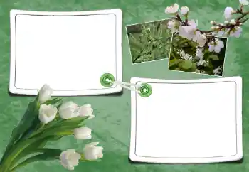 Фотоэффект с категории Весна № 93095