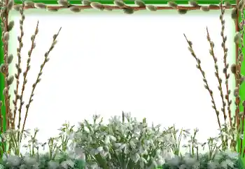 Фотоэффект с категории Весна № 94595