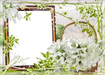 Фотоэффект с категории Весна № 980