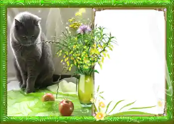 Фотоэффект с категории Весна № 982