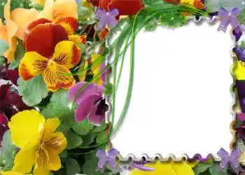 Фотоэффект с категории Весна № 983