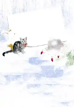 Фотоэффект с категории Зима № 105450 Фотоэффект с категории Зима № 105450