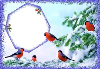 Фотоэффект с категории Зима № 105588