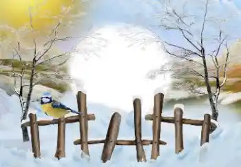 Фотоэффект с категории Зима № 110837