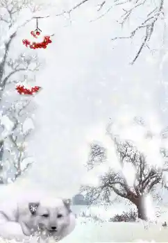 Фотоэффект с категории Зима № 111870