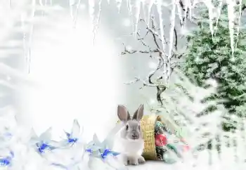 Фотоэффект с категории Зима № 128650 Фотоэффект с категории Зима № 128650