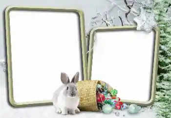 Фотоэффект с категории Зима № 148975