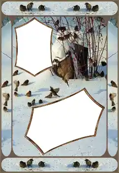 Фотоэффект с категории Зима № 151645 Фотоэффект с категории Зима № 151645