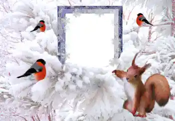 Фотоэффект с категории Зима № 160607 Фотоэффект с категории Зима № 160607