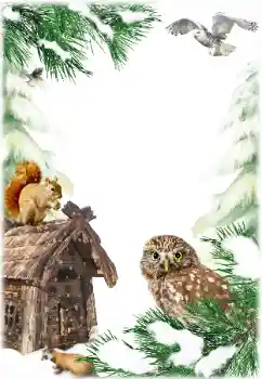 Фотоэффект с категории Зима № 160784 Фотоэффект с категории Зима № 160784