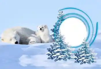 Фотоэффект с категории Зима № 163218