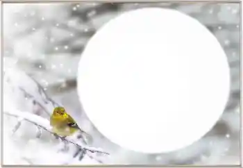 Фотоэффект с категории Зима № 163334