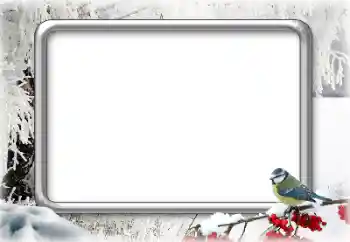 Фотоэффект с категории Зима № 166367