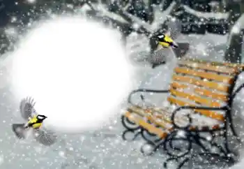 Фотоэффект с категории Зима № 191760