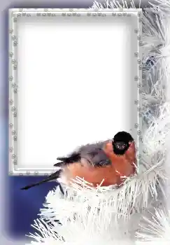 Фотоэффект с категории Зима № 3339 Фотоэффект с категории Зима № 3339