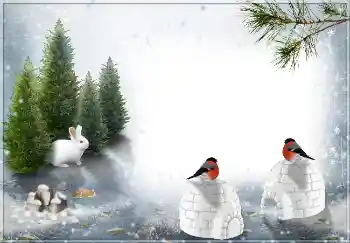 Фотоэффект с категории Зима № 3360 Фотоэффект с категории Зима № 3360