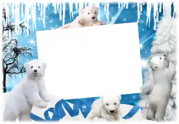 Фотоэффект с категории Зима № 3366 Фотоэффект с категории Зима № 3366