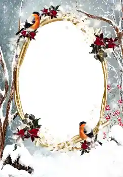 Фотоэффект с категории Зима № 3374 Фотоэффект с категории Зима № 3374