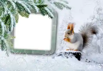 Фотоэффект с категории Зима № 3375 Фотоэффект с категории Зима № 3375