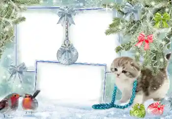 Фотоэффект с категории Зима № 38960 Фотоэффект с категории Зима № 38960