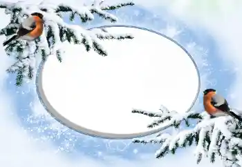 Фотоэффект с категории Зима № 42676 Фотоэффект с категории Зима № 42676