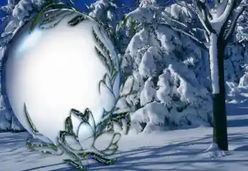 Фотоэффект с категории Зима № 5464 Фотоэффект с категории Зима № 5464