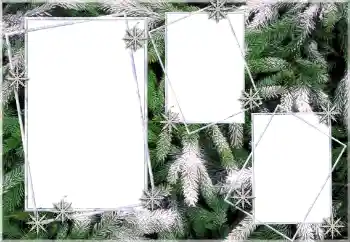 Фотоэффект с категории Зима № 64393 Фотоэффект с категории Зима № 64393