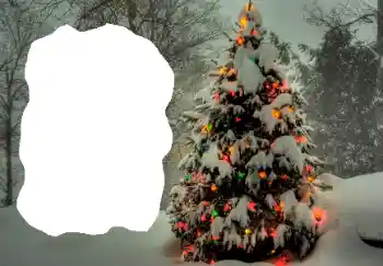 Фотоэффект с категории Зима № 65514 Фотоэффект с категории Зима № 65514