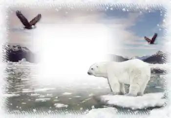 Фотоэффект с категории Зима № 67044