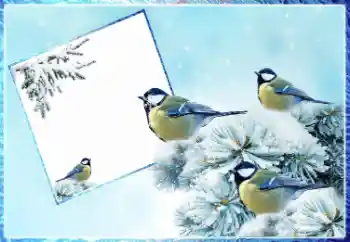 Фотоэффект с категории Зима № 87962 Фотоэффект с категории Зима № 87962