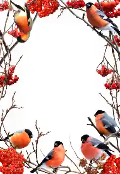 Фотоэффект с категории Зима № 90578