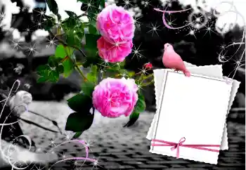 Фотоэффект из категории Свадебные рамки № 12847