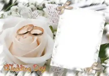 Фотоэффект из категории Свадебные рамки № 31729. Надпись на рамке: Wedding Day Фотоэффект из категории Свадебные рамки № 31729. Надпись на рамке: Wedding Day