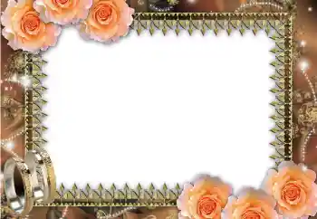Фотоэффект из категории Свадебные рамки № 45669