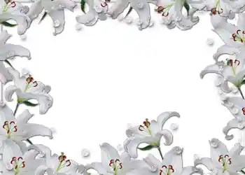 Фотоэффект из категории Свадебные рамки № 54 Фотоэффект из категории Свадебные рамки № 54