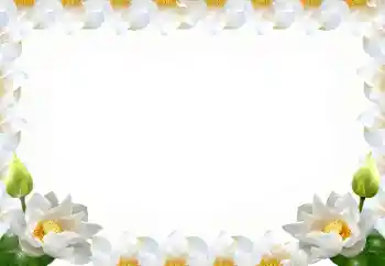 Фотоэффект из категории Женские фоторамки № 102569 Фотоэффект из категории Женские фоторамки № 102569