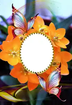 Фотоэффект из категории Женские фоторамки № 105575 Фотоэффект из категории Женские фоторамки № 105575