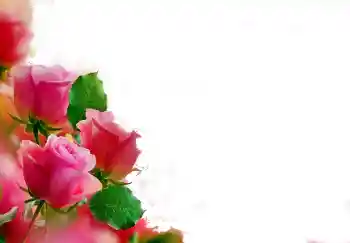 Фотоэффект из категории Женские фоторамки № 112139 Фотоэффект из категории Женские фоторамки № 112139