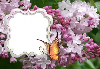 Фотоэффект из категории Женские фоторамки № 114264
