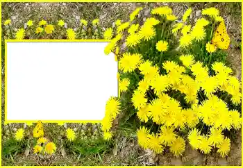 Фотоэффект из категории Женские фоторамки № 116202 Фотоэффект из категории Женские фоторамки № 116202