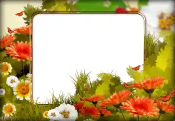 Фотоэффект из категории Женские фоторамки № 125650 Фотоэффект из категории Женские фоторамки № 125650