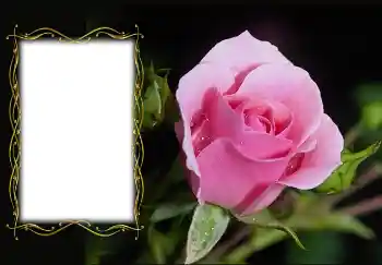 Фотоэффект из категории Женские фоторамки № 126936 Фотоэффект из категории Женские фоторамки № 126936