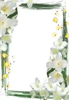 Фотоэффект из категории Женские фоторамки № 127290 Фотоэффект из категории Женские фоторамки № 127290